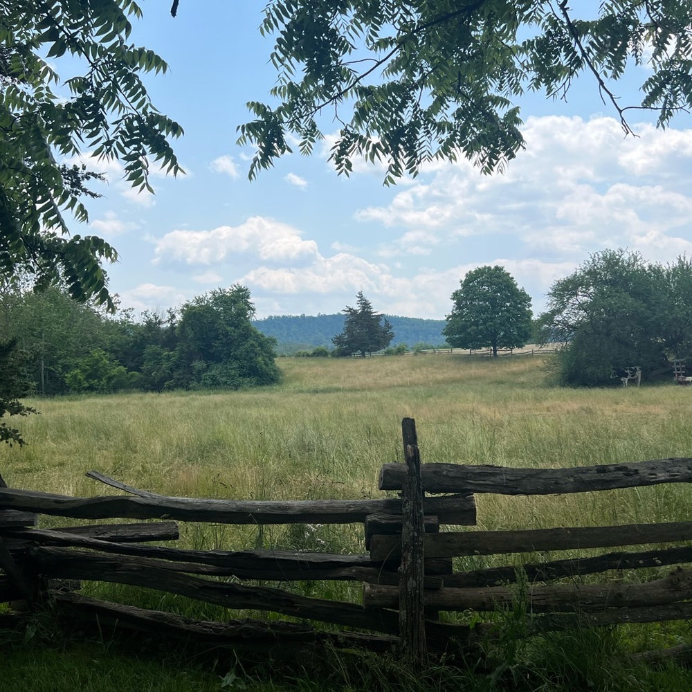 Meet your Posher, Rafaella